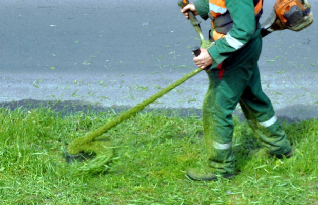 Koszenie trawy , wertykulacja trawy , przycinanie tui i krzewów. - Zdjęcie 3
