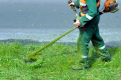 Koszenie trawy , wertykulacja trawy , przycinanie tui i krzewów. - Zdjęcie 3