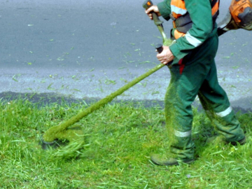Zdjęcie: Koszenie trawy , wertykulacja trawy , przycinanie tui i krzewów.